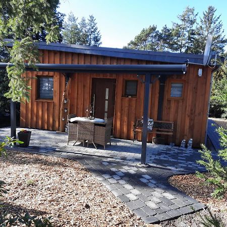 Ferienhaus Leon Mit Sauna Rehburg-Loccum Экстерьер фото