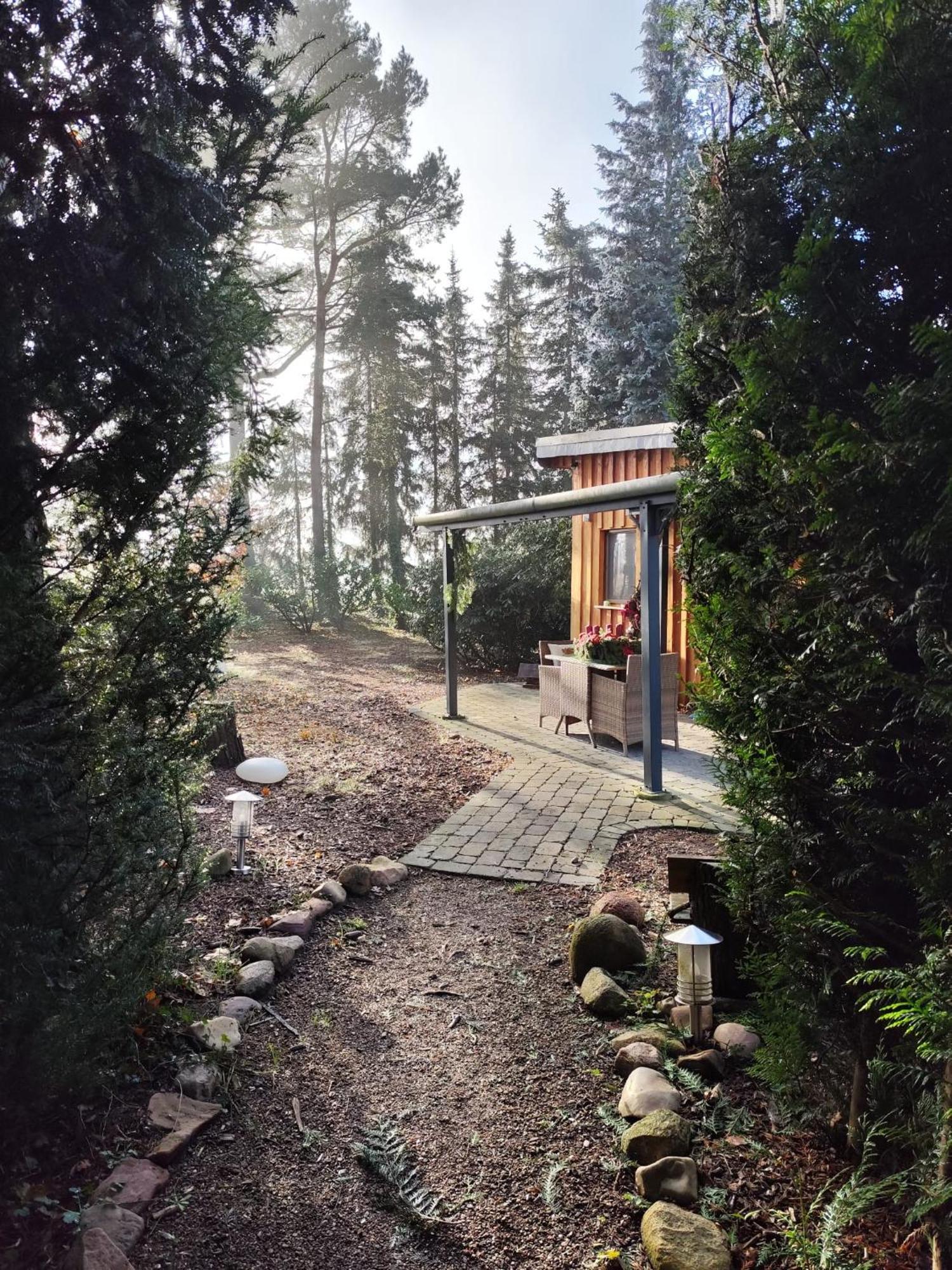 Ferienhaus Leon Mit Sauna Rehburg-Loccum Экстерьер фото